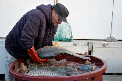 telepítés (15).JPG