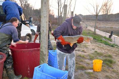 telepítés (13).JPG