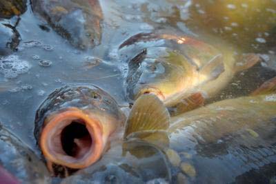 telepítés (43).JPG