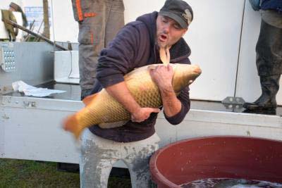 telepítés (101).JPG